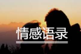 昌邑婚外情取证